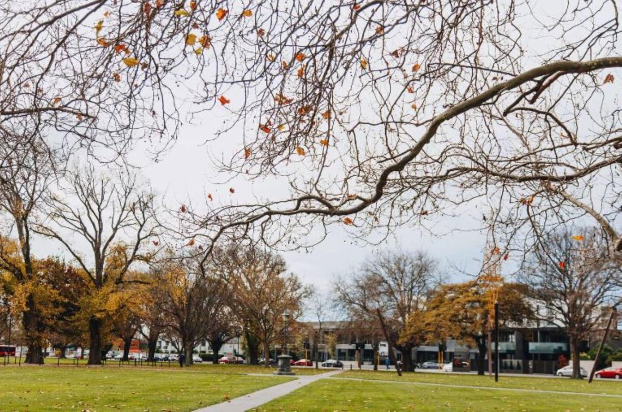 Inner City Delight Walk To Cathedral Square Christchurch Extérieur photo